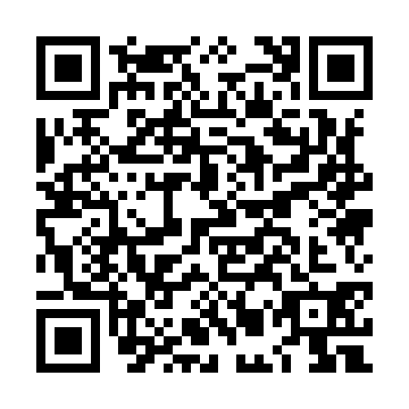 QR code for plate LMQ-9307