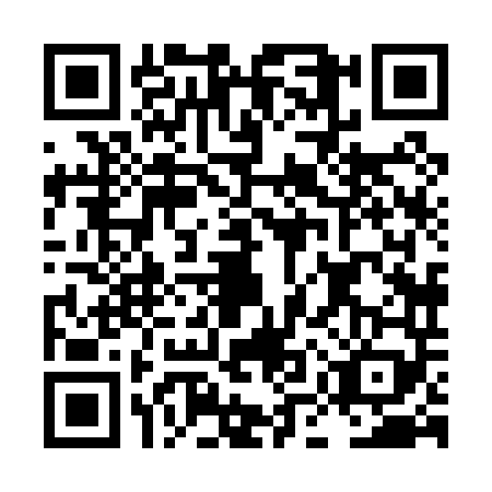 QR code for LMX-0491