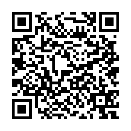 QR code for plate LNE-0359