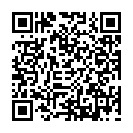 QR code for plate LRX-3308