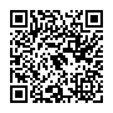 QR code for LSI-2878