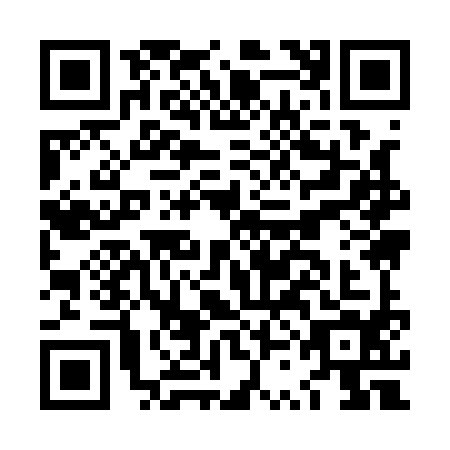 QR code for LSI1941