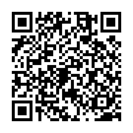 QR code for plate LSU-4206