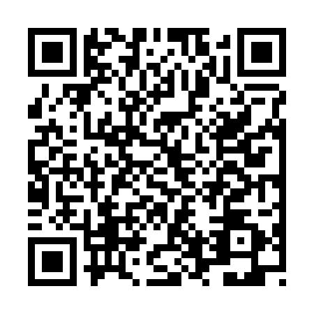 QR code for LVV-2025