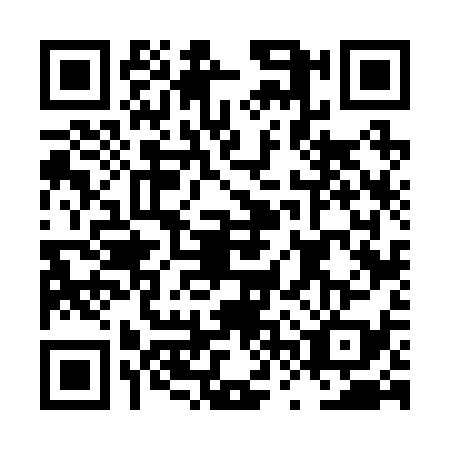 QR code for LVV-2393