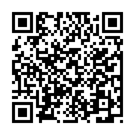QR code for LVV-9991