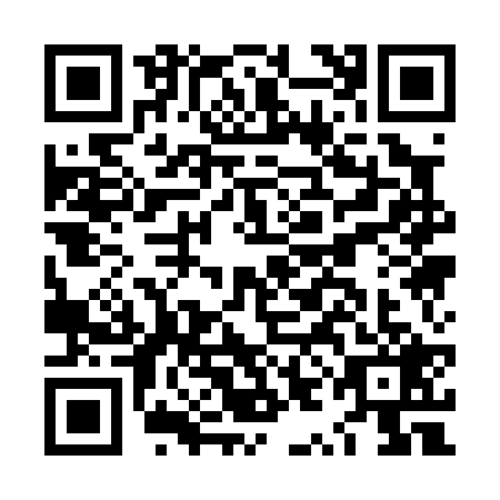 QR code for LYA-0293