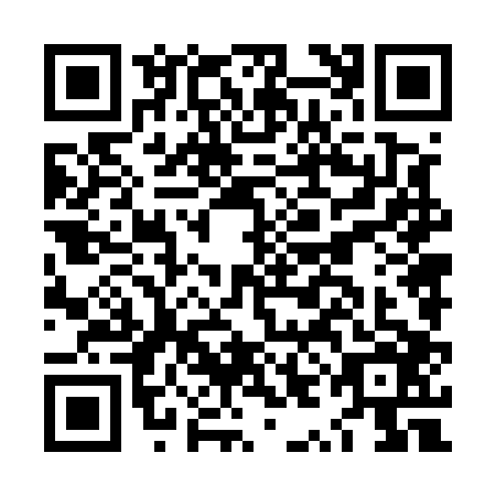 QR code for LYN-5065