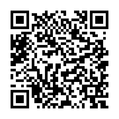 QR code for LZU3938