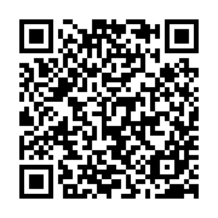 QR code for M13287