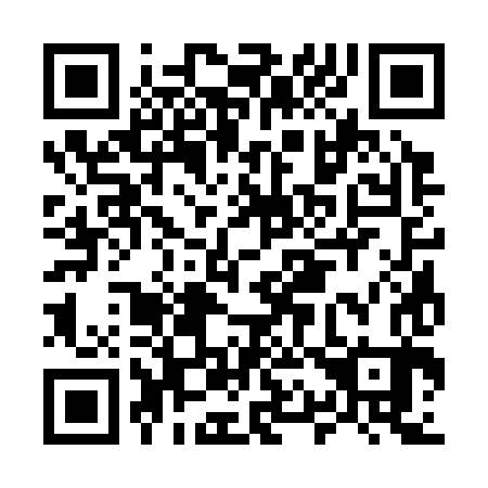 QR code for M13383