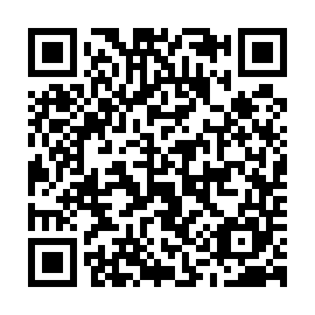 QR code for M13545