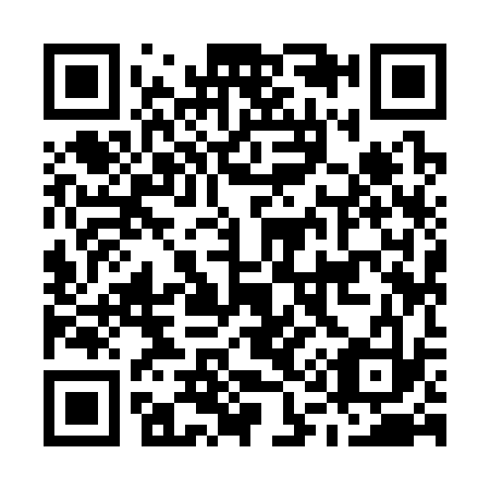 QR code for M19333