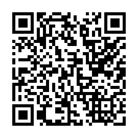 QR code for M20868