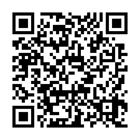 QR code for M28738