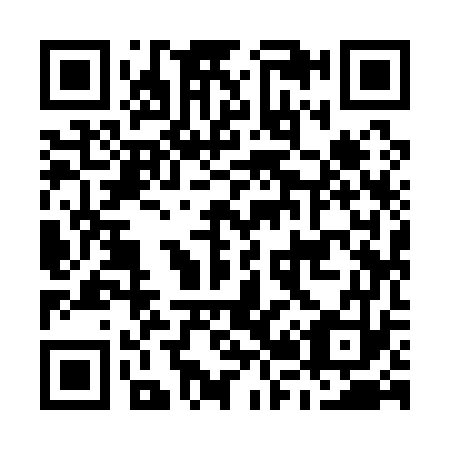 QR code for M29173