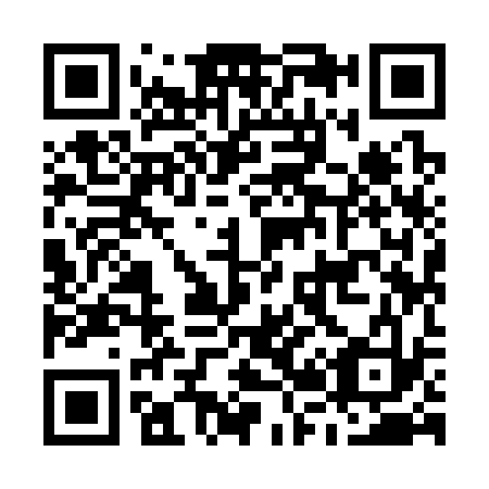 QR code for M29333