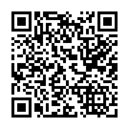 QR code for M29347