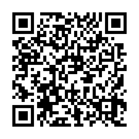 QR code for M29738