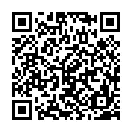 QR code for M38036