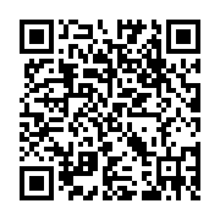 QR code for M38056
