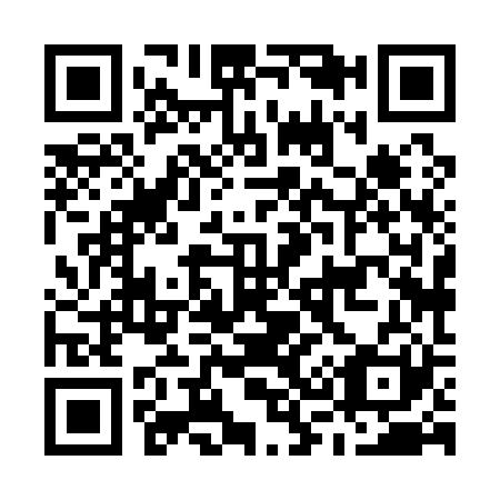 QR code for M38121
