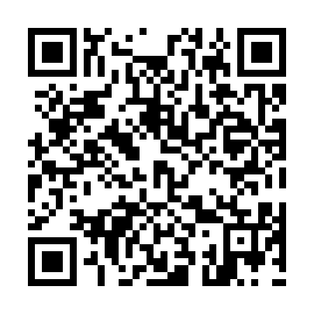 QR code for M38315