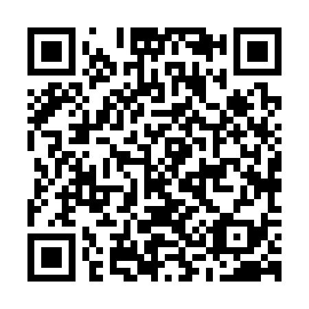 QR code for M38339