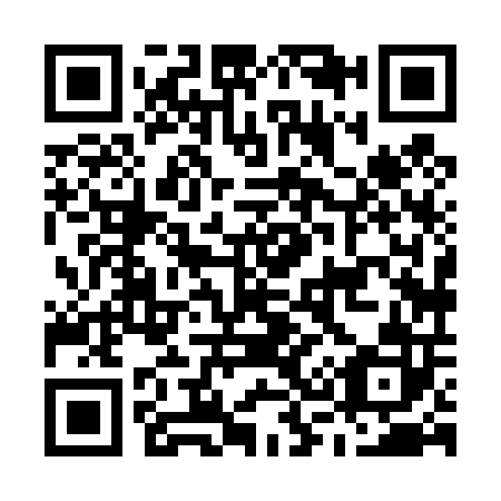 QR code for M38402