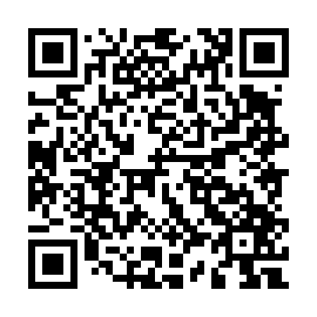 QR code for M38447