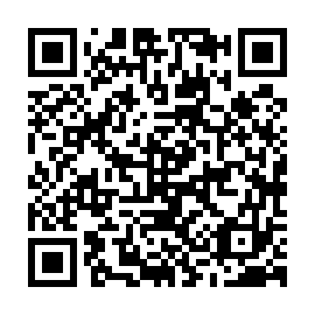 QR code for M38573