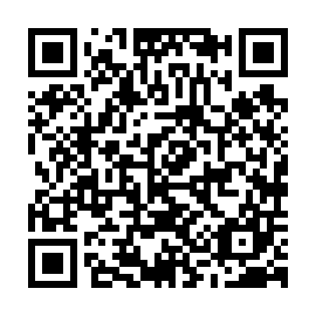 QR code for M38607