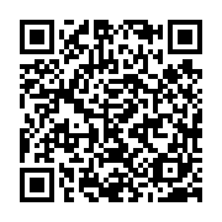 QR code for M38660