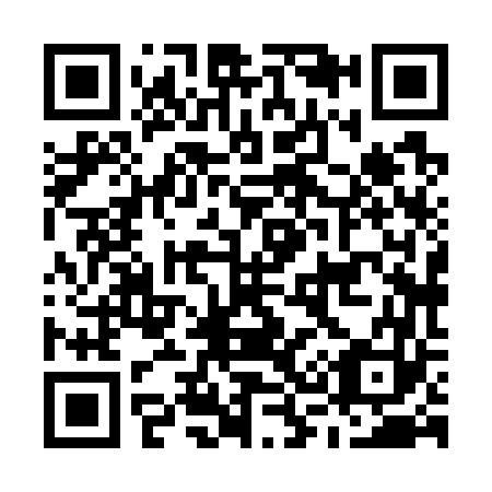 QR code for M38763