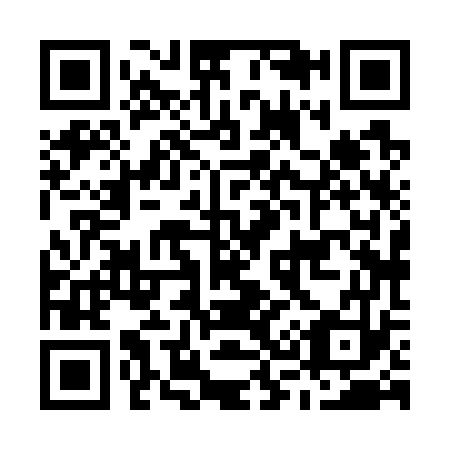 QR code for M38773