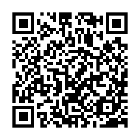 QR code for M38780