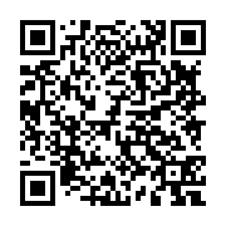 QR code for M38830