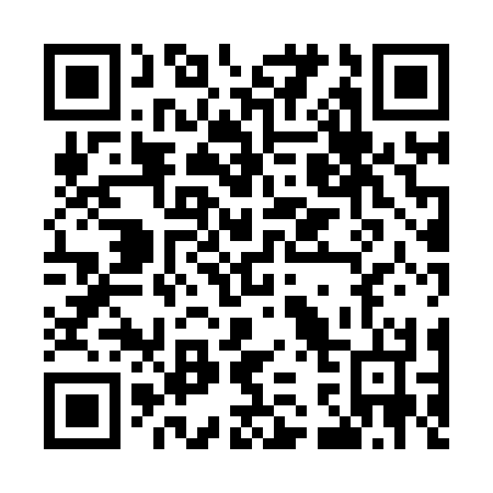 QR code for M38834