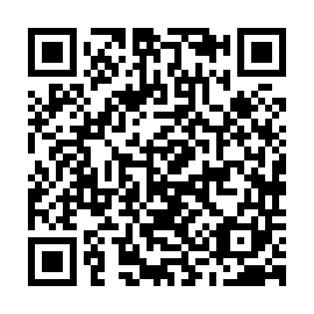QR code for M38841