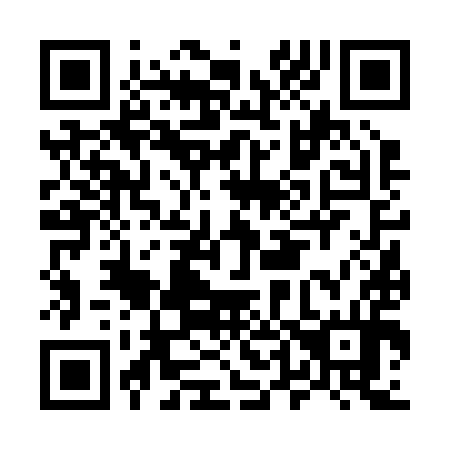 QR code for M46294