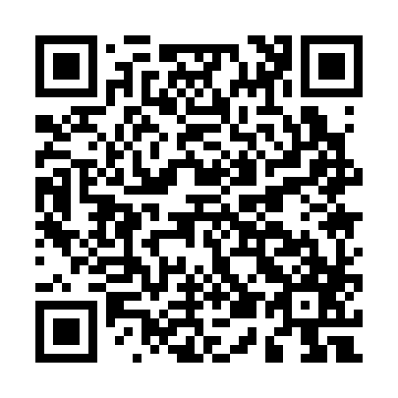 QR code for M51387