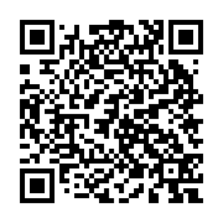 QR code for M55233