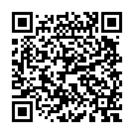 QR code for M63480
