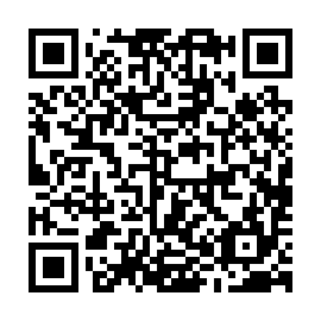 QR code for M80294