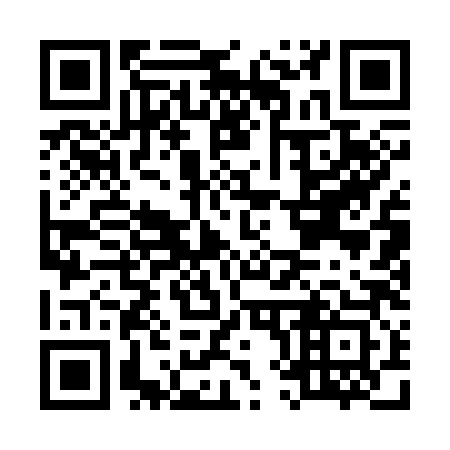 QR code for M81383