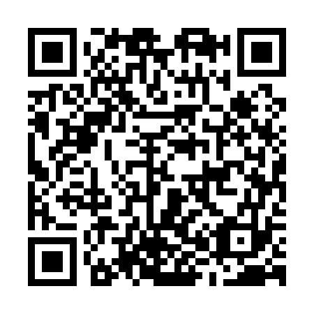 QR code for M85173