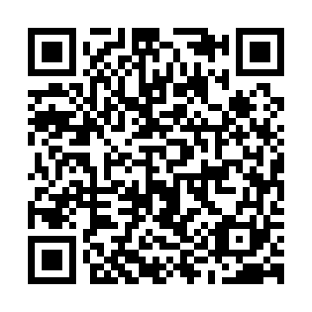 QR code for M95161