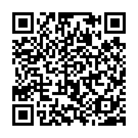 QR code for M96631