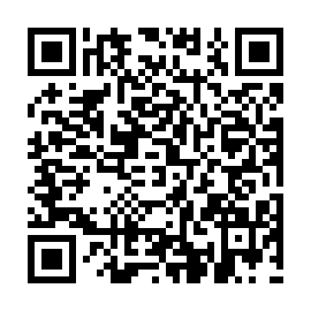 QR code for MAD-6119