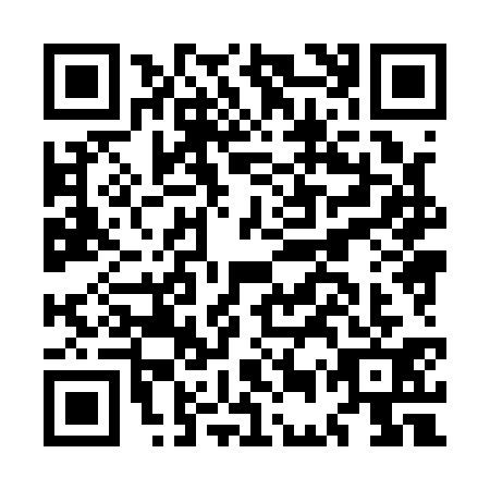 QR code for plate MEX-1313